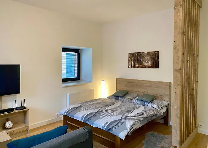 V Javorné Na šumavě Appartement Cachrov
